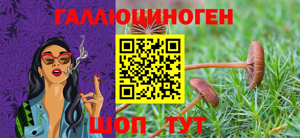 Фрязино  Псилоцибиновые грибы Psilocybe  Вход с VPN 